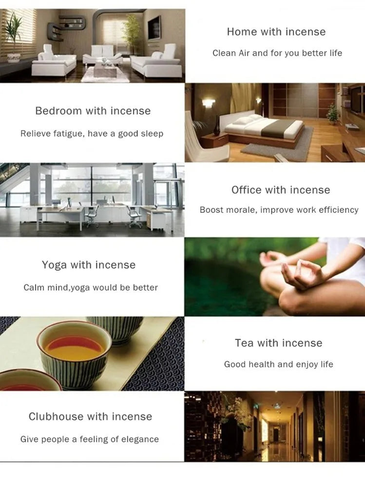 Mixed Natural Cones (Varied Pack Size)